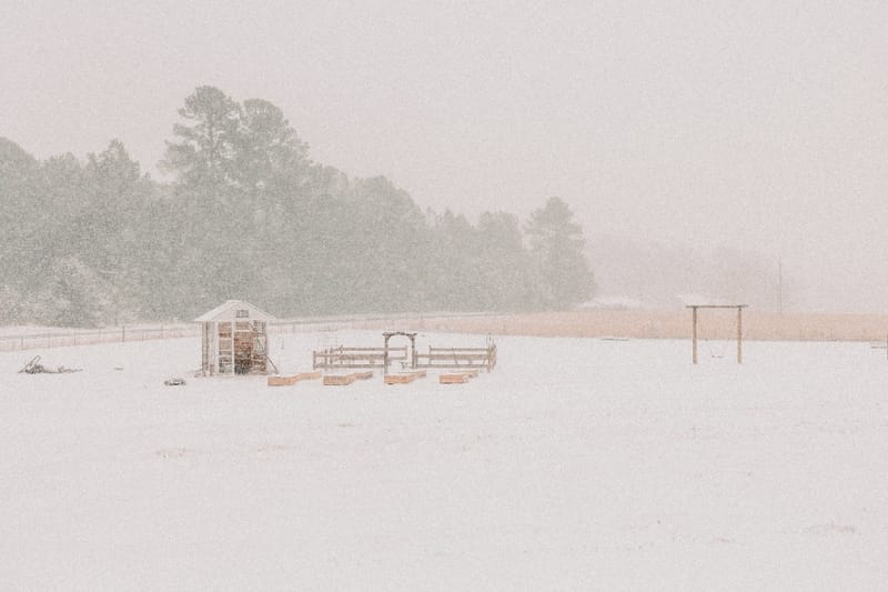 Winter season at Dirt & Grit Farm
